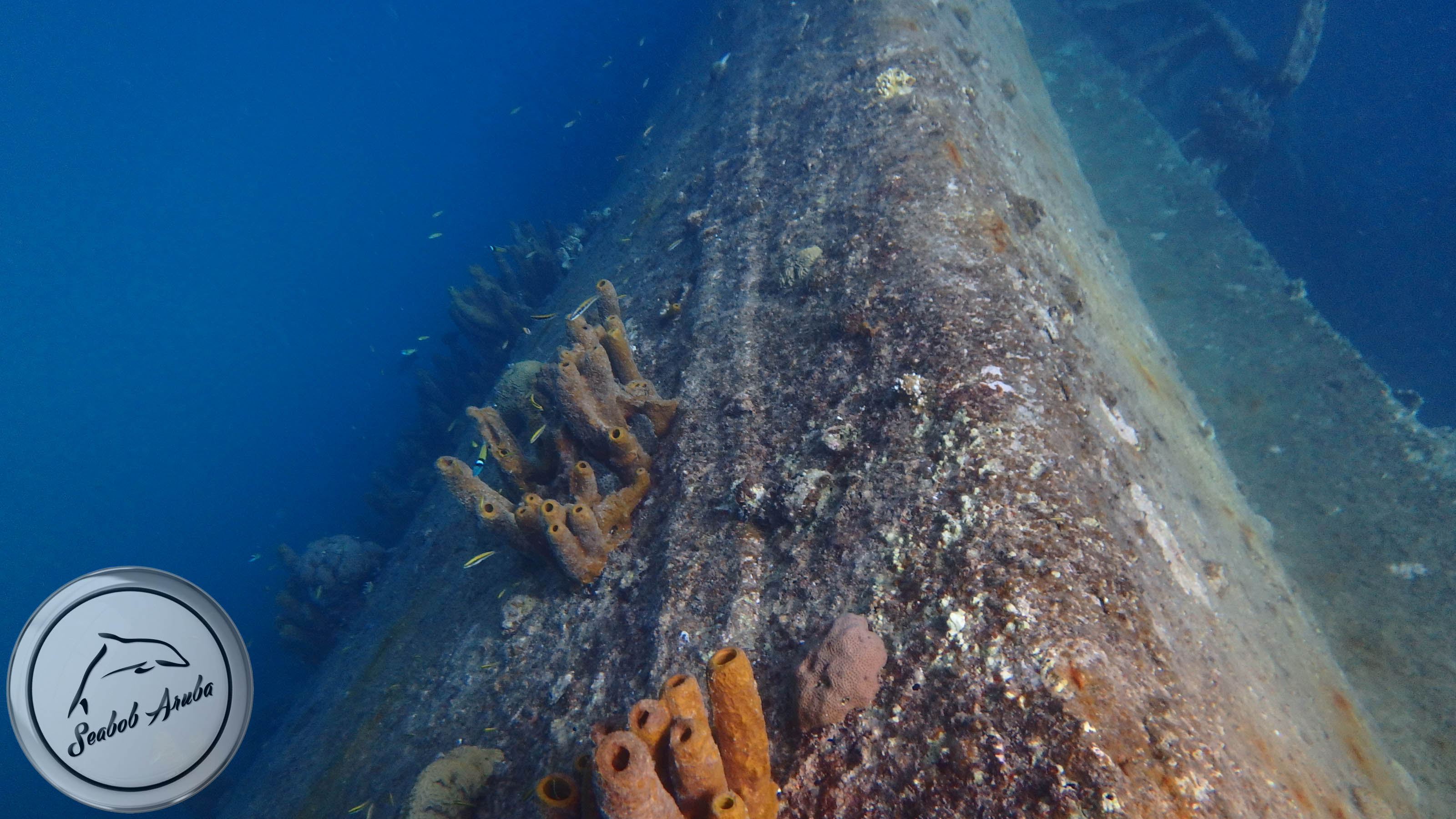 antilla shipwreck seabob tour